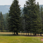 The 7th green at Sparwood Golf Club, tucked into a stand of tall pines with the flag visible
